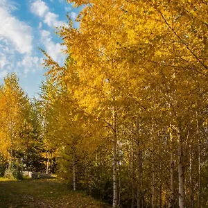 *** Отель Alpen Казахстан